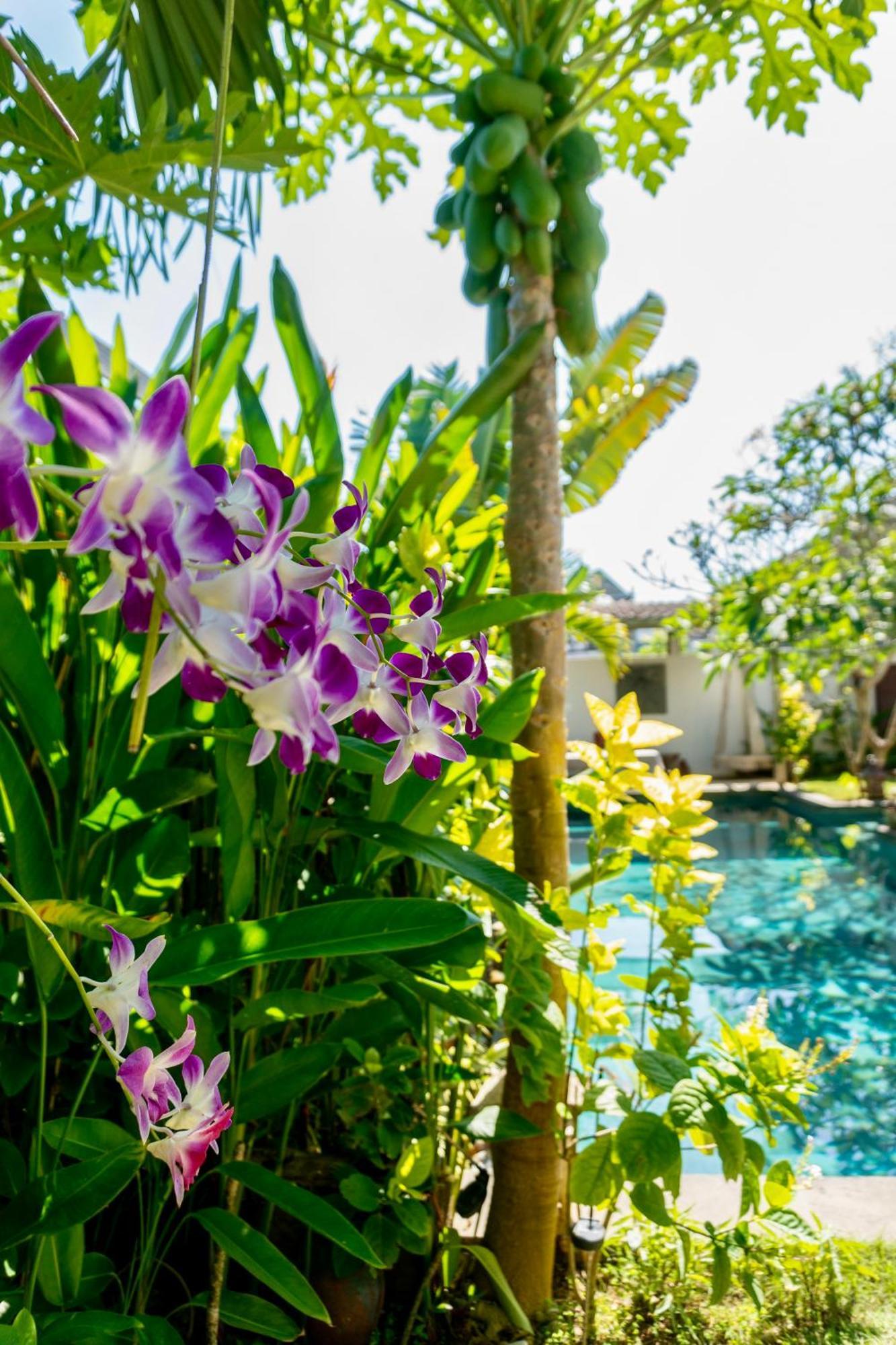 Готель Damai Uluwatu Екстер'єр фото